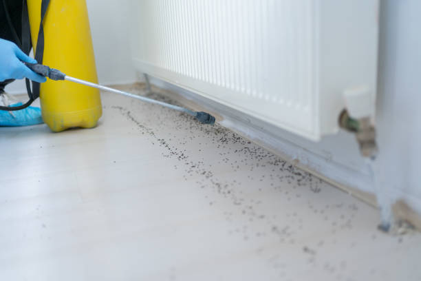 Best Commercial Pest Control Services  in Ewa Villages, HI