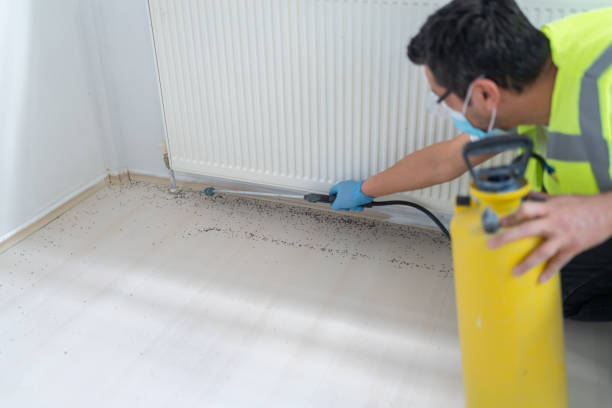 Best Pest Prevention Services  in Ewa Villages, HI